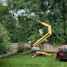 Leaf Removal in Flagler Beach, FL